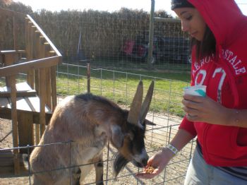 shayshay22 profile photo