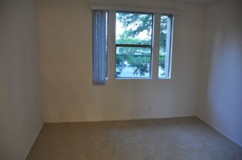 JavaCoder profile photo