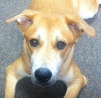 Hstone profile photo