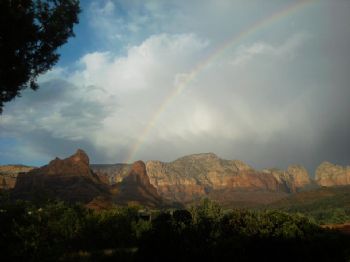 TessaPolito profile photo