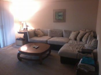 melodywillia profile photo