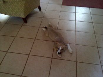 jessNkels profile photo