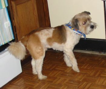 EronBullard profile photo