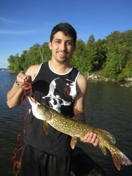 Braxton 33 profile photo