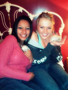 rikkixd profile photo