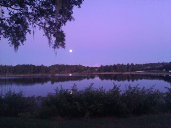 alisovic profile photo