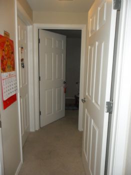 kokohori3024 profile photo