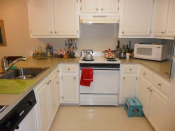 kokohori3024 profile photo