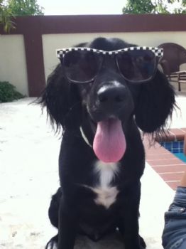 LUMINOUSent profile photo