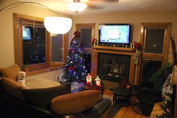 jjmcconnell2 profile photo