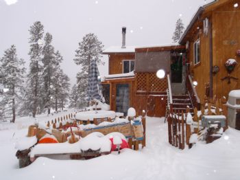 mountain wom profile photo