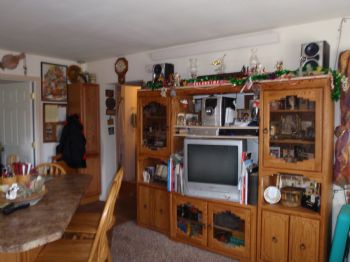 mountain wom profile photo