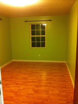 dante7095 profile photo