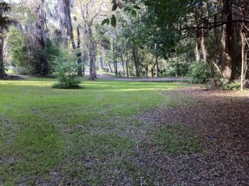 carltonart profile photo