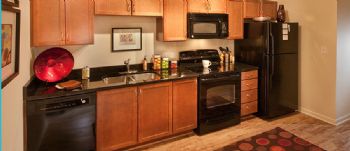 hayrichhh profile photo