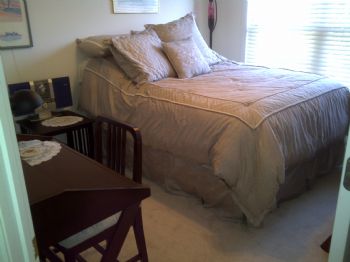 BvlgariBlue profile photo