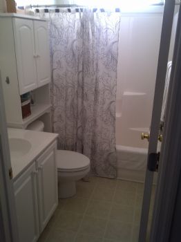 BvlgariBlue profile photo