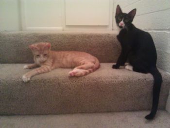 wonderfulmet profile photo