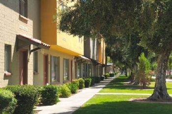 wonderfulmet profile photo