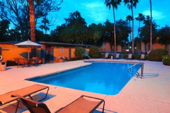 wonderfulmet profile photo