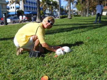 bghales profile photo