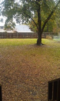 RamRob profile photo