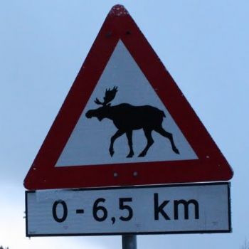 pprokhor profile photo