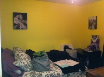 CallyAlyse profile photo