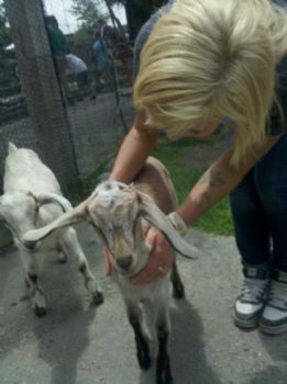 awow_s profile photo