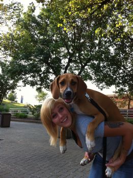 awow_s profile photo