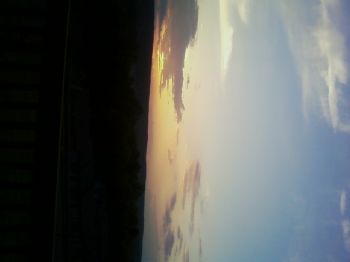 biondjd profile photo