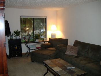 wardm13 profile photo