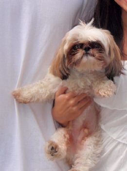 taylorr profile photo