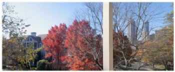 KatyATL profile photo