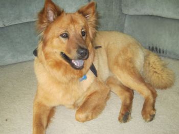 KatyATL profile photo