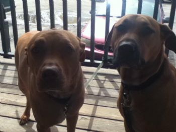 bass2067 profile photo