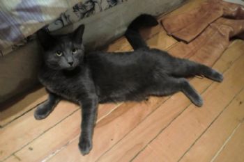 mbrichant profile photo