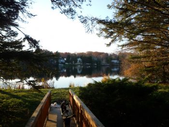 shredgnarly profile photo