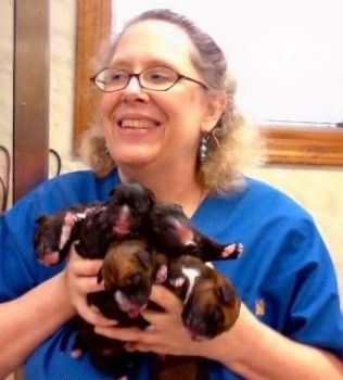 9lives profile photo