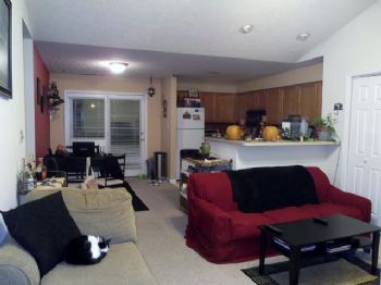 ellaj74 profile photo