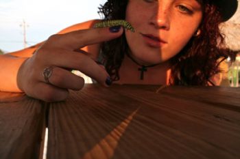 raefran profile photo