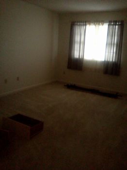 whitetee06 profile photo