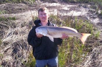 dparr11 profile photo