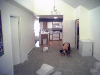 stullene profile photo