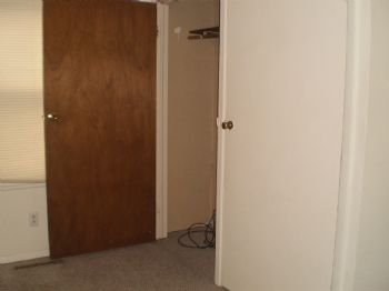 tracitolison profile photo