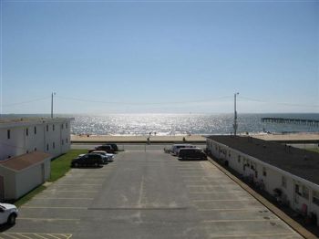 wjsauer profile photo