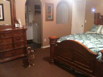 lasweetswan profile photo