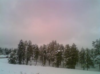 LarsAndrew7 profile photo