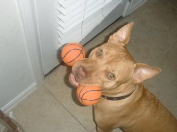 CoolRoomie28 profile photo