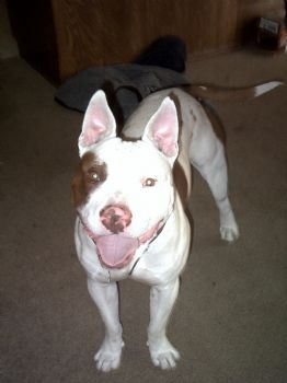 velena profile photo
